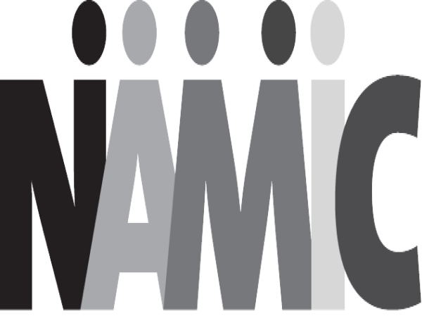  NAMIC Announces the 2025 Board of Directors & Chapter Officers 