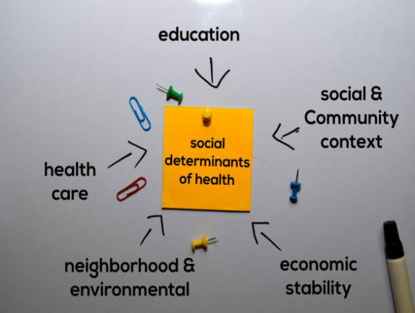 Social Determinants of Health Market Set to Witness Significant Growth by 2025-2032: Orion Health, Signify Health