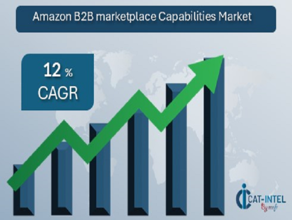  Procurement Intelligence in Amazon B2B Marketplace Capabilities Transforming Strategies For Efficiency And Cost Savings 