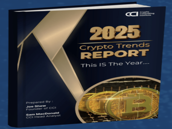 Crypto Consulting Institute Unveils Trends Shaping the 2025 Crypto Landscape