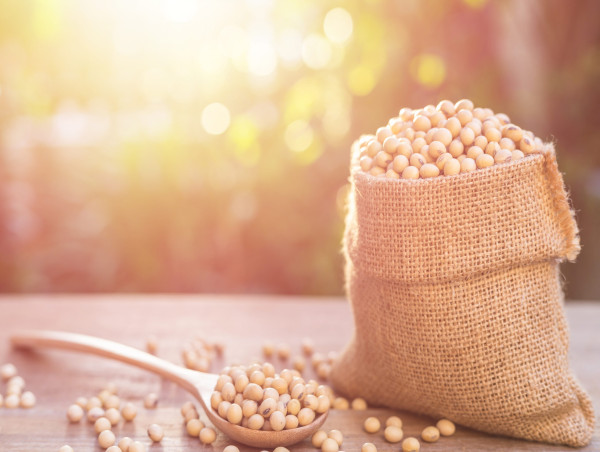 China chooses cheaper Brazilian soybeans over US ahead of Trump’s return