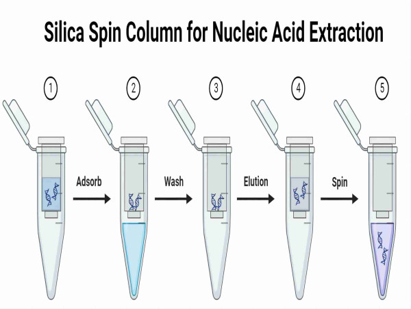  CD Bioparticles Launches Silica Spin Column for Nucleic Acid Extraction 