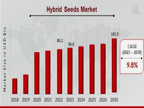  Hybrid Seeds Market Soars to USD 165.8 Billion with 9.8% CAGR 2030, Due to increasing demand for agriculture practices 