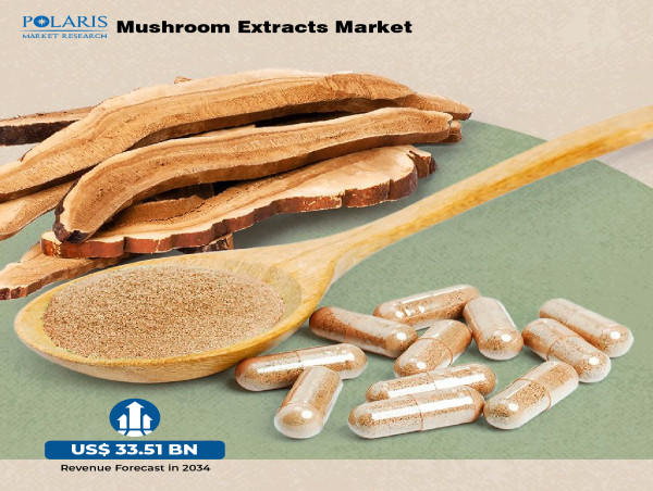  Mushroom Extracts Market to Achieve USD 33.51 Billion by 2034, Expanding at a 10.0% CAGR from 2025–2034 