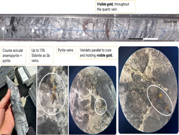  RUA GOLD Intersects Visible Gold and Antimony and Confirms Continuity of High-Grade Gold Mineralization at Murray Creek 