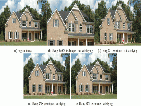  Scientists develop device for automated cropping and resizing of images 