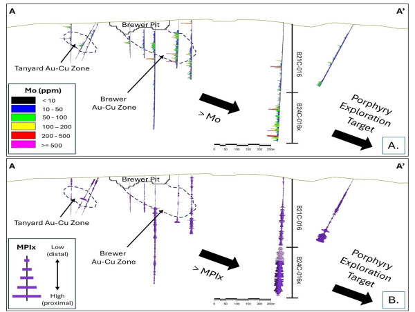  Carolina Rush Reports Elevated Molybdenum in Deepest Hole Drilled at Brewer, Samples up to 1,320 ppm Mo 