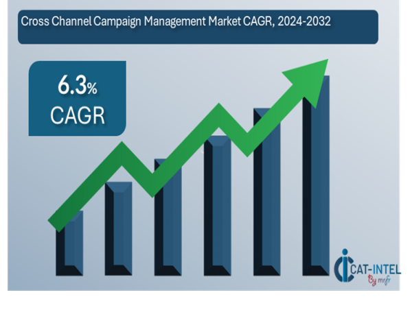 Category Intelligence Cross-Channel Campaign Management (CCCM) Market Growing at a CAGR of 9.6% from 2024 to 2032