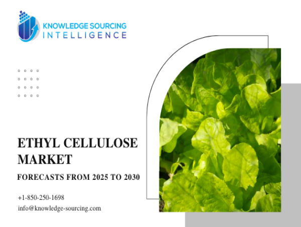  Ethyl Cellulose Market forecasted to surpass US$1.30 billion by 2030 at a of 6.04% 