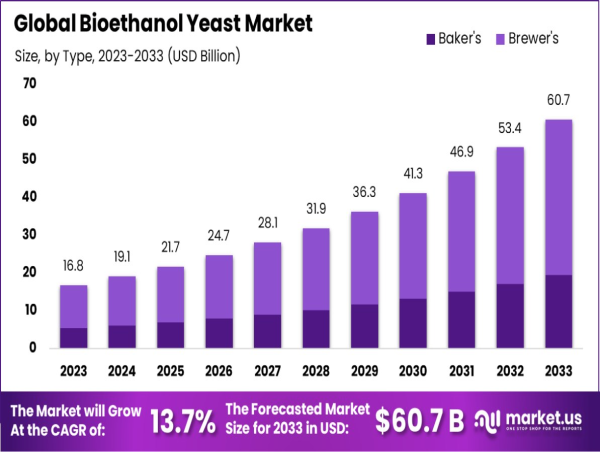  Bioethanol Yeast Market Set To Reach USD 60.7 Bn by 2033 