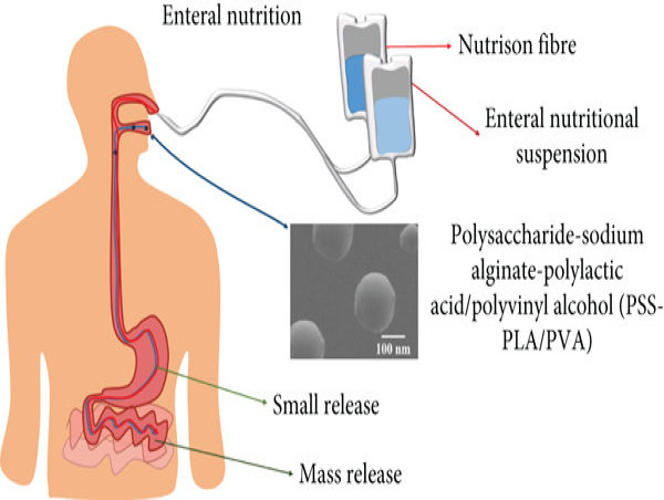  Enteral Nutrition Market Set to Witness Significant Growth by 2025-2032:Abbott,Nestlé S.A.,Fresenius Kabi AG, Victus Inc 