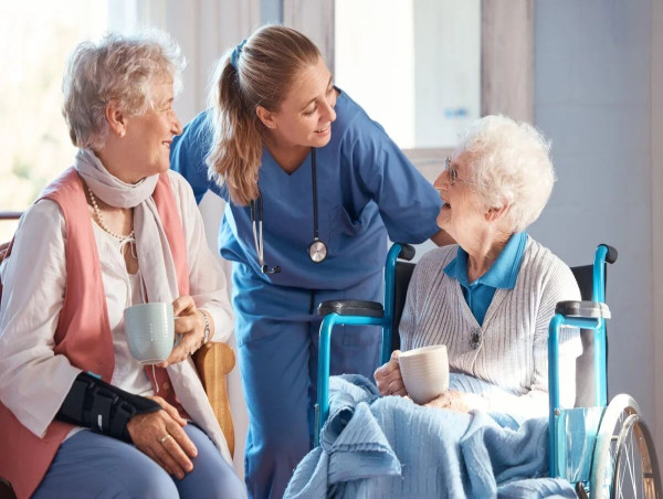  Home Healthcare Market Projected To Witness Substantial Growth, 2025-2032: Addus HomeCare, Interim HealthCare Inc 
