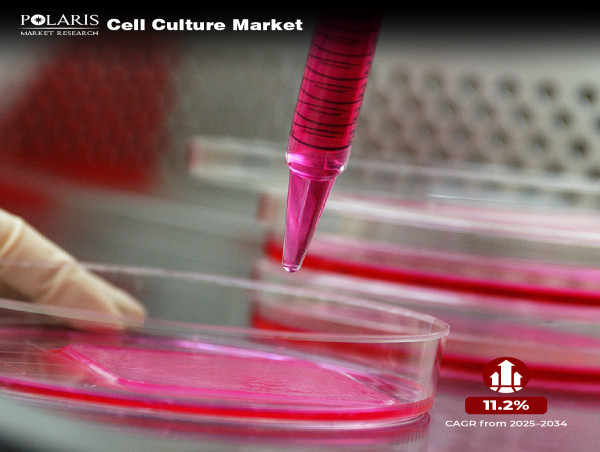  Cell Culture Market to Witness 11.2% CAGR, Reaching USD 58.98 Billion by 2034 