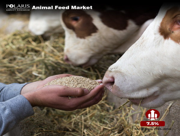 Animal Feed Market From 2025 to 2034: Projections Show US$ 1,246.43 Billion With a Remarkable 7.5% CAGR 