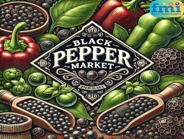  Global Black Pepper Market to Hit USD 5.43 Billion by 2034, Driven by an 8.2% CAGR 