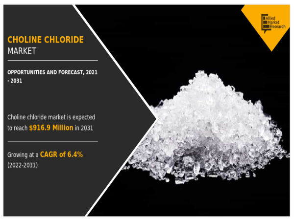  Exploring Growth Drivers and Investment Opportunities in the Choline Chloride Market 