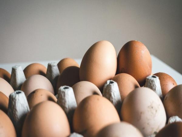  JBS enters Brazil’s egg industry with 48.5% stake in Mantiqueira Alimentos 