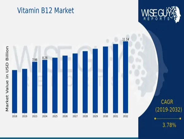  Vitamin B12 Market Size Expands to 11.15 Billion USD at 3.78% CAGR by 2032 | Mitsubishi Corporation, Lonza Group 