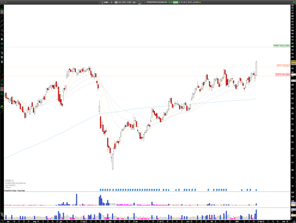  Long CRWD: CrowdStrike Surges on Strong Earnings and Cybersecurity Demand 