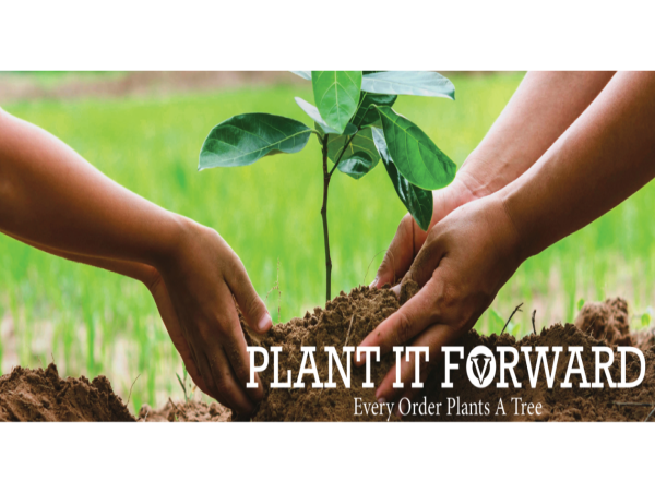 Oakwood Veneer Introduces 'Plant It Forward' Sustainability Program