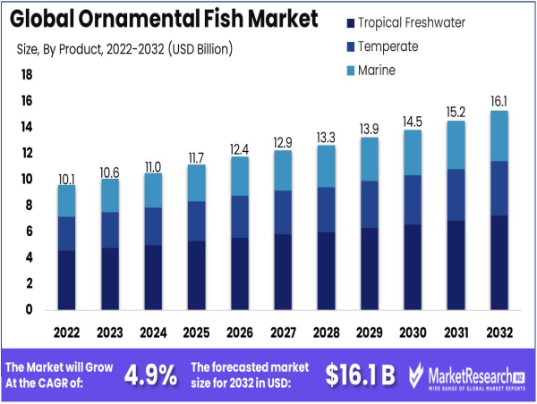 Ornamental Fish Market to Hit USD 16.1 Bn by 2032, Expanding at 4.9% CAGR