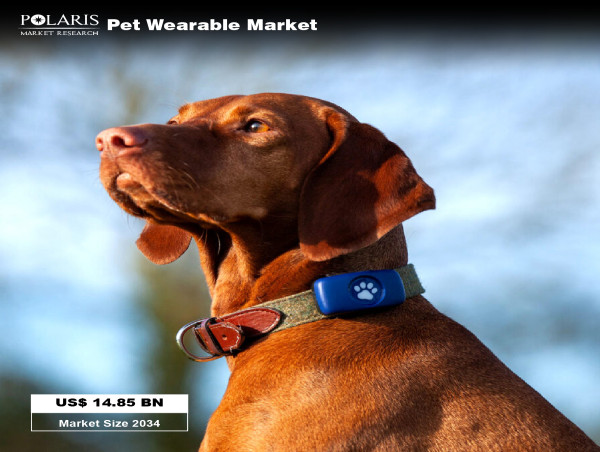  Pet Wearable Market to Reach USD 14.85 Billion by 2034, Growing at a 14.9% CAGR from 2025 to 2034 