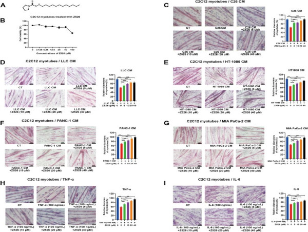  Z526- A NOVEL THERAPEUTIC CANDIDATE AGAINST CANCER ASSOCIATED CACHEXIA 