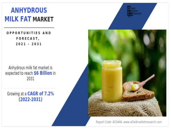  Anhydrous Milk Fat Market Size is Projected to Attain $6 Billion By 2031: Lactalis, Interfood Holding BV, Vitusa Corp 