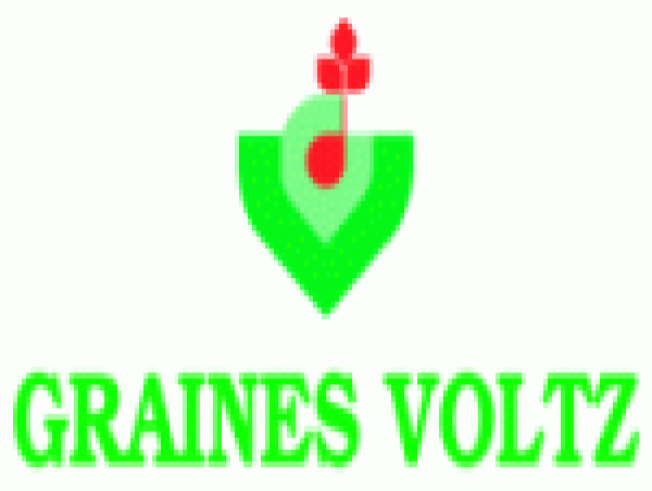  Graines Voltz : Resultats De L'exercice 2023/2024 