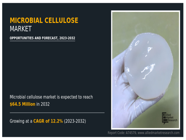  Microbial Cellulose Market Insightful Analysis: Trends, Competitor Dynamics, and Opportunities 2023-2032 