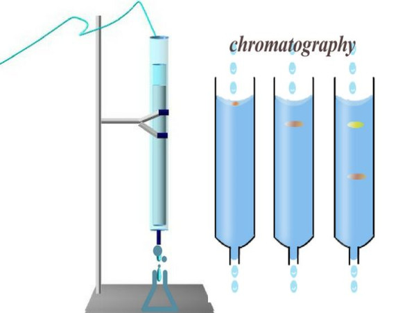  Membrane Chromatography Market Current Applications, Challenges, and Path to Commercialization 