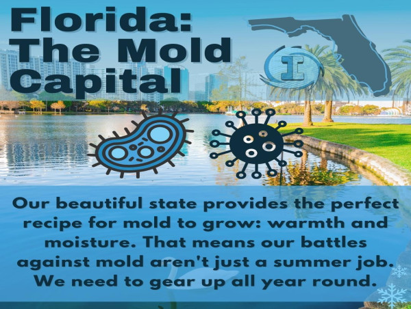  Immaculate Softwash Warns of The Hidden Dangers of Mold on Florida Rooftops 