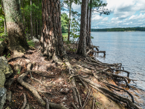  Efforts to Address Soil Erosion and Land Loss After Major Storms 