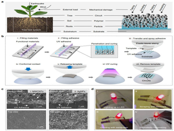 From roots to rugged circuits: the future of flexible electronics unveiled