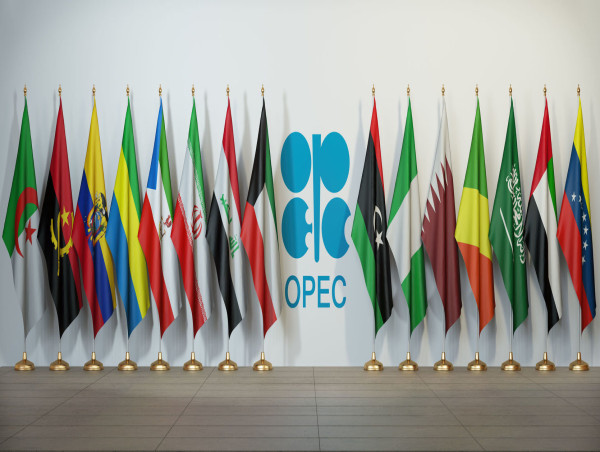  OPEC+ likely to continue gradual output increase strategy 