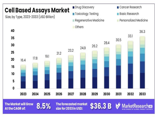 Cell Based Assays Market Upcoming Opportunities and Forecast Analysis 2025-2034