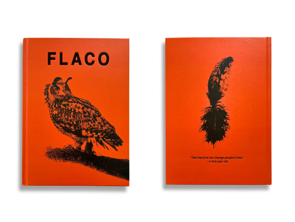  Blurring Books releases “FLACO: The Owl Who Escaped Captivity and Won the Hearts of the World