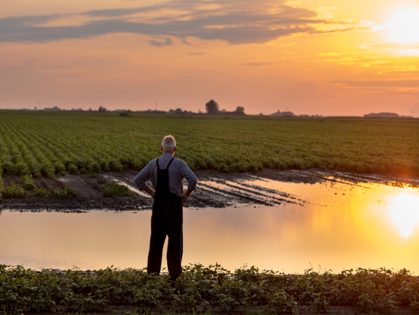 The Current Grant Freeze Inadvertently Betrays Rural America – Farmers and Small Businesses Left in the Cold