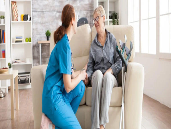 Health Caregiving Market Projected To Witness Substantial Growth, 2025-2032:GreatCall, Inc.,Cariloop, Inc, HomeHero, Inc 