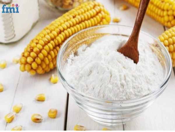  Modified Starch Market to Reach USD 28.88 Billion by 2034, Driven by Clean-Label Demand and Plant-Based Trends | FMI 