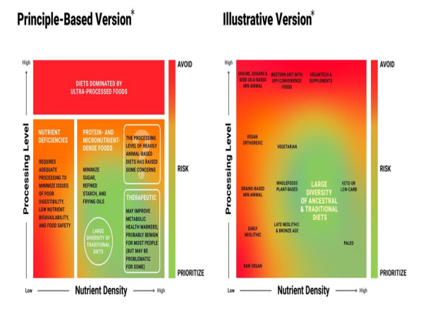  Introducing the Nourishment Table: A New Dietary Framework 