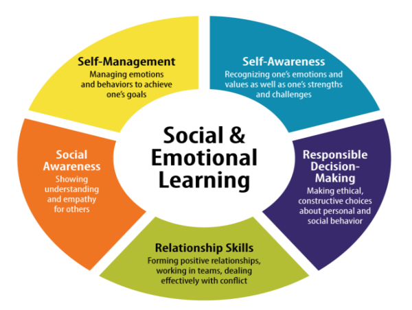 Social and Emotional Learning (SEL): Emphasis on emotional intelligence in education and workplaces drives adoption