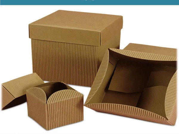  Corrugated Handle Box Market Growth, Trends, and Future Outlook By Exactitude Consultancy 