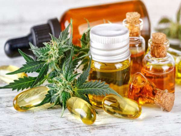  Medicinal Cannabis Market Booming: Future Growth, Industry Trends, and Forecast 2025-2032 | BOL Pharma, Tilray, Aphria 