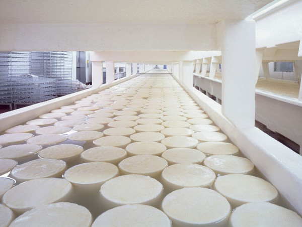  Cheese Concentrate Market Projects to US$ 4.01 billion Valuation by 2034 