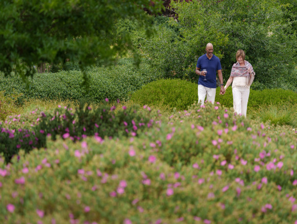  Paso Robles Named California’s Best Small Town to Retire by World Atlas 