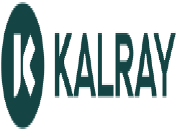  Kalray : 2024 Revenue, Disposal Of The &Quot;Data Acceleration Platform&Quot; Subsidiary, And Ongoing Discussions To Maximise The Value Of Its Semiconductor Business 