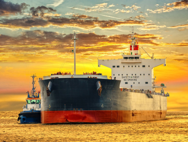  Why US crude oil exports may decline in 2025? 