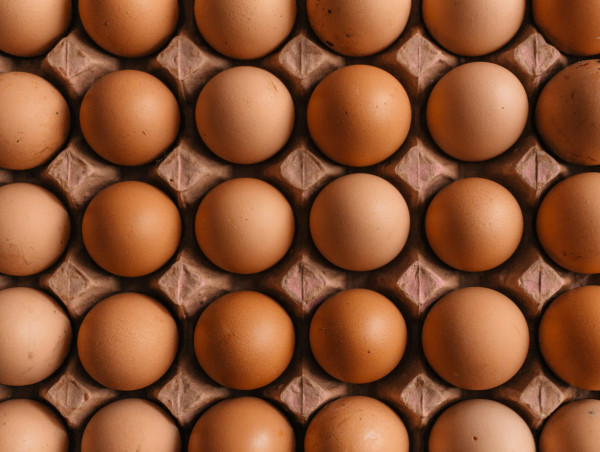  Egg prices skyrocket in the US, lifting share prices of Vital Farms and Cal-Maine: should you invest? 