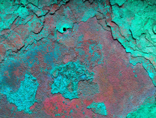 Copper Abietate Market Insights: Key Factors Driving Growth and Shaping Industry Trends